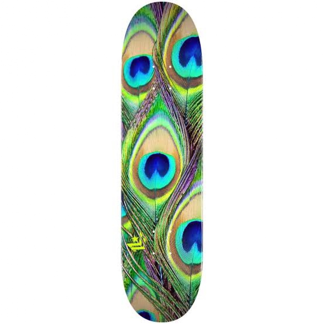 DK ML MAPLE "18" 8.0 242 K20 PEACOCK FEATHER