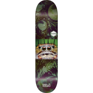 BLIND MCENTIRE BUGGERS DECK-8.0 r7