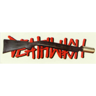 DW STREET SWEEPER DECAL SINGLE