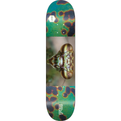 BLIND BECKETT BUGGERS DECK-8.5 r7